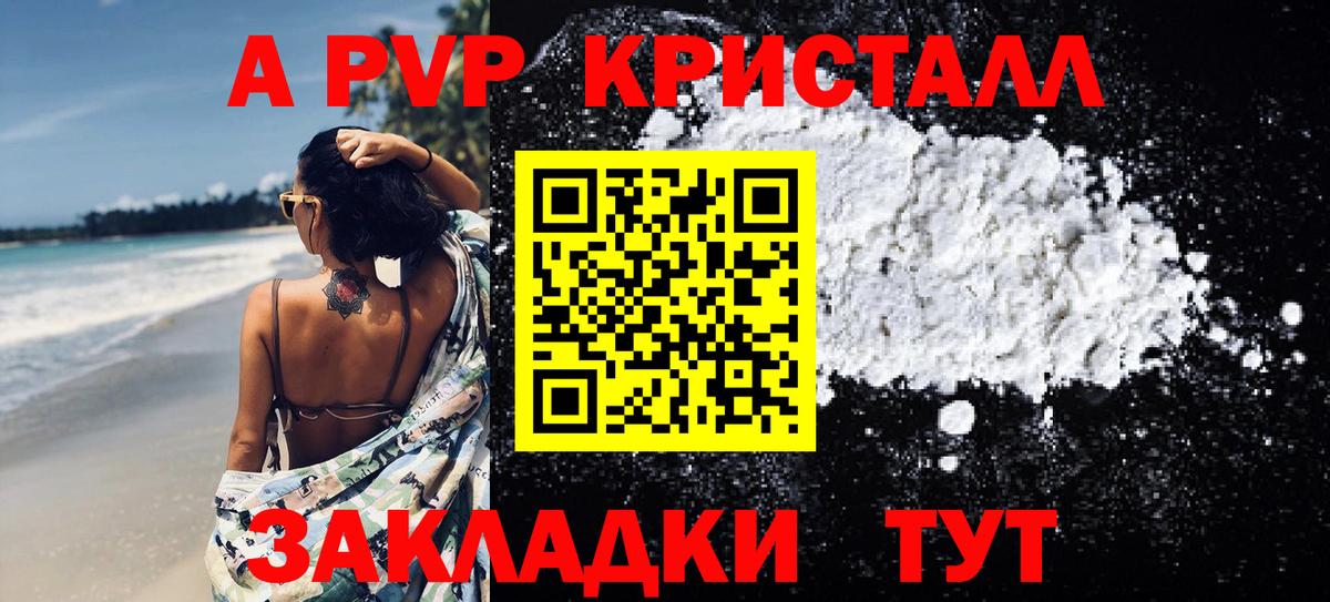Альфа ПВП СК КРИС Назрань