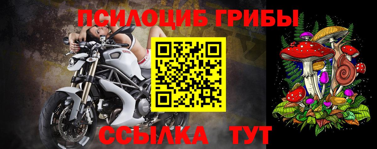 Галлюциногенные грибы Psilocybine cubensis  купить наркотики сайты  Назрань  Вход с VPN 
